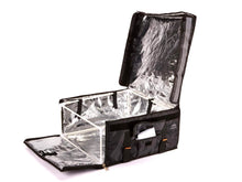 Load image into Gallery viewer, Small Insulated Delivery Bag